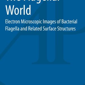 The Flagellar World: Electron Microscopic Images of Bacterial Flagella and Related Surface Structures