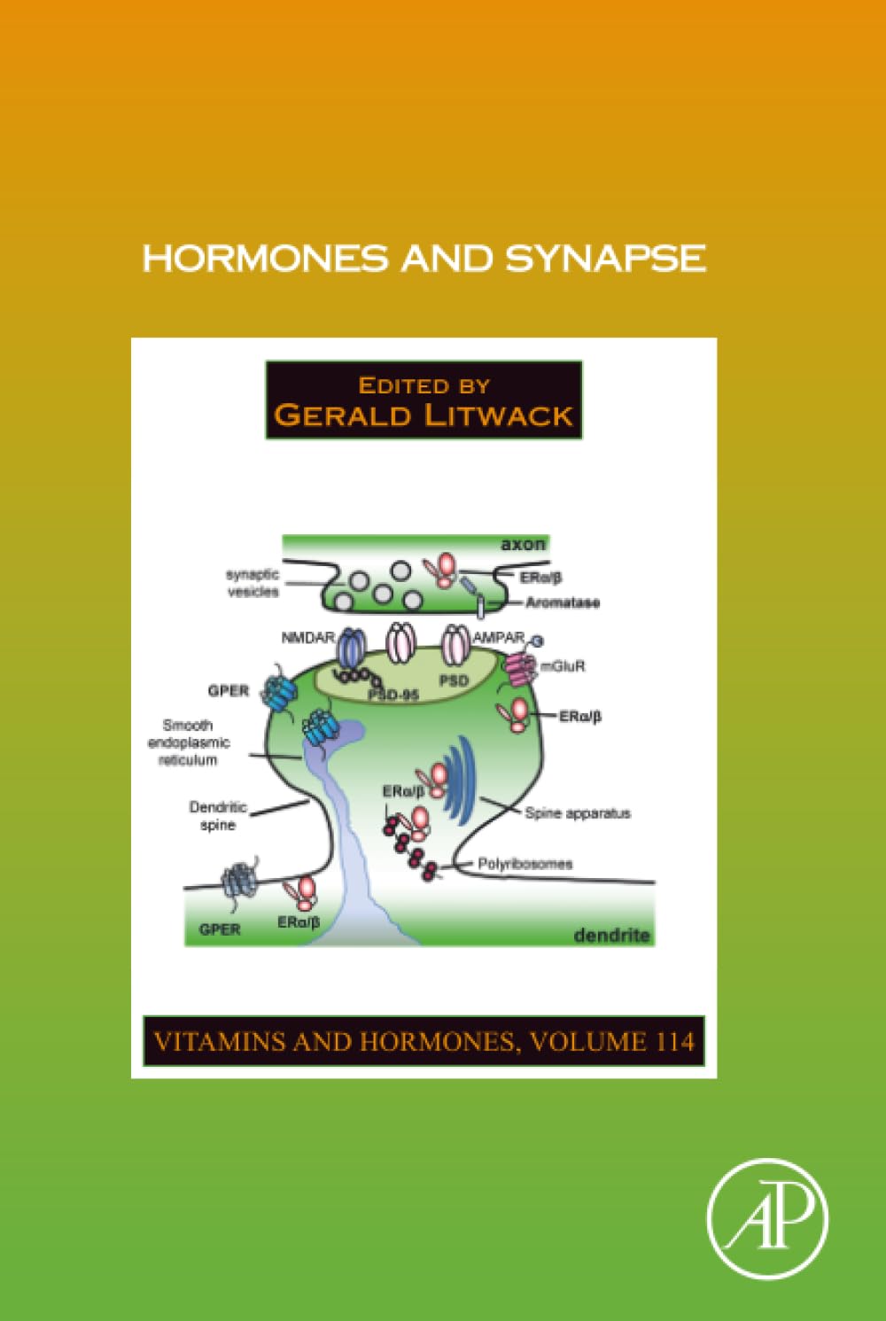 Hormones and Synapse (Volume 114) (Vitamins and Hormones