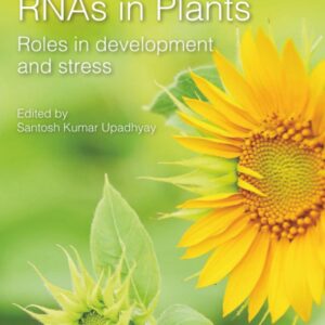 Long Noncoding RNAs in Plants: Roles in Development and Stress