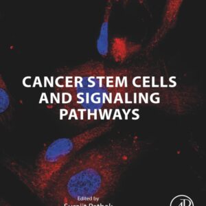 Cancer Stem Cells and Signaling Pathways