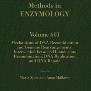 Mechanisms of DNA Recombination and Genome Rearrangements: Intersection Between Homologous Recombination