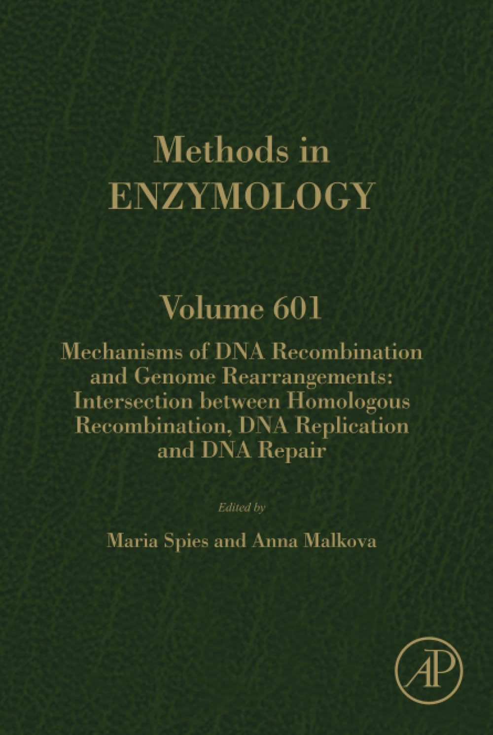 Mechanisms of DNA Recombination and Genome Rearrangements: Intersection Between Homologous Recombination