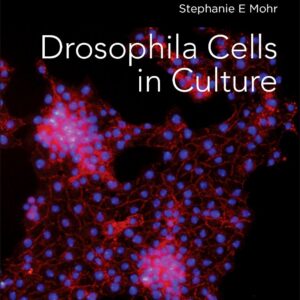 Drosophila Cells in Culture