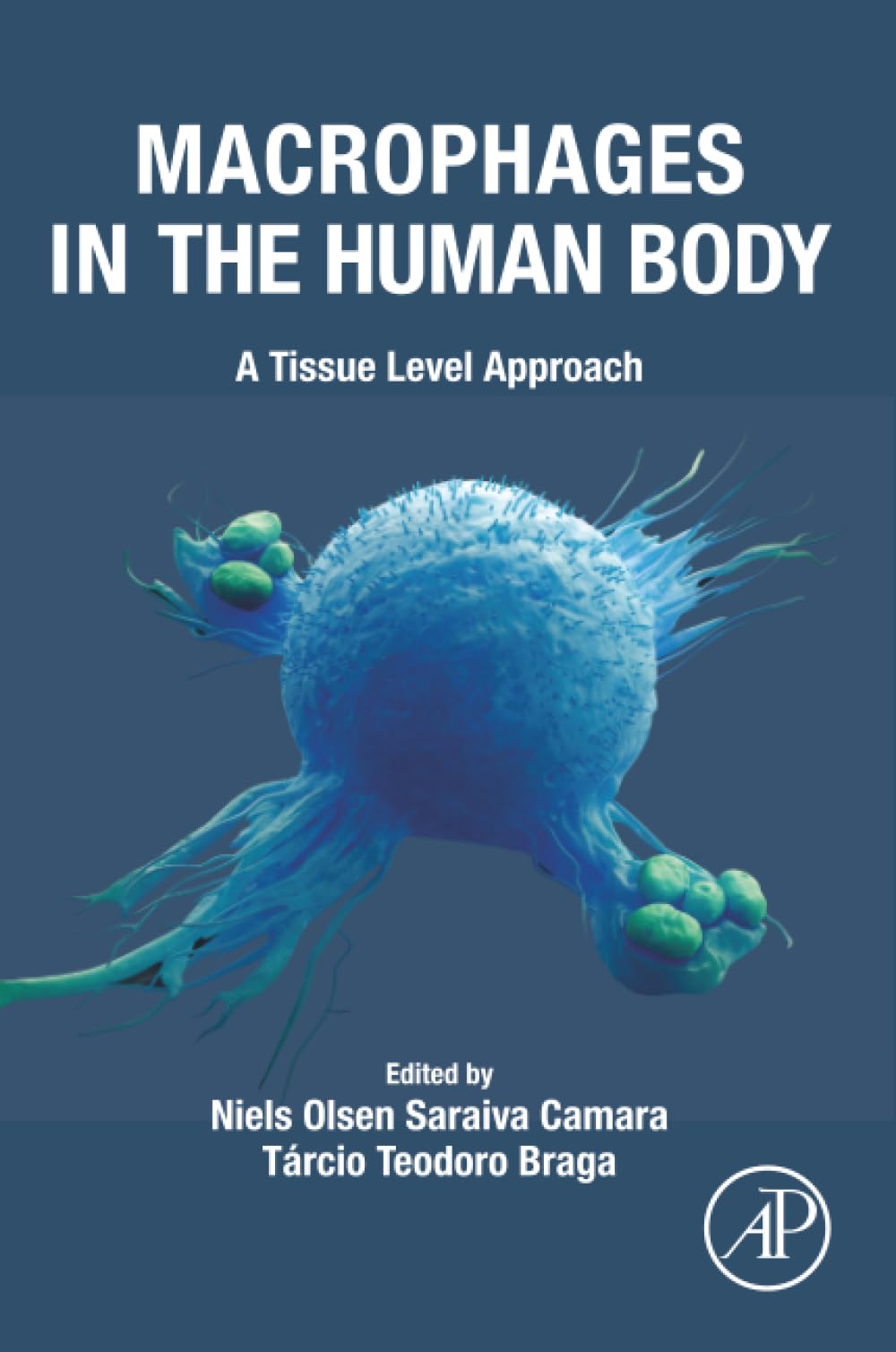 Macrophages in the Human Body: A Tissue Level Approach