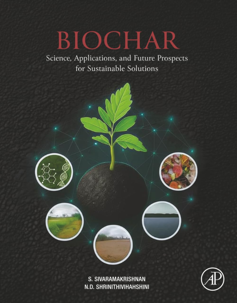 Biochar: Science