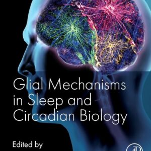 Glial Mechanisms in Sleep and Circadian Biology