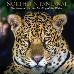 Jaguars of the Northern Pantanal: Panthera Onca at the Meeting of the Waters