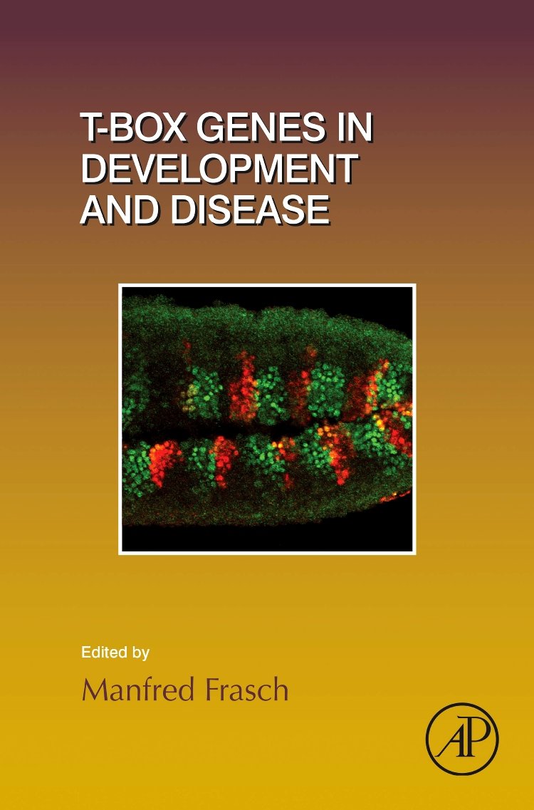 T-box Genes in Development and Disease (Volume 122) (Current Topics in Developmental Biology