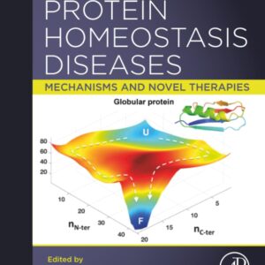 Protein Homeostasis Diseases: Mechanisms and Novel Therapies