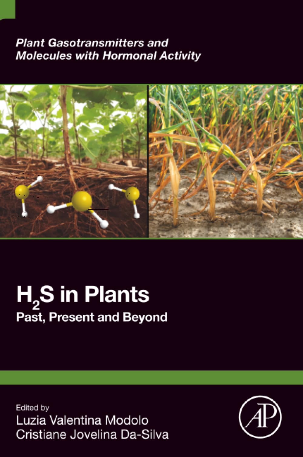 H2S in Plants: Past