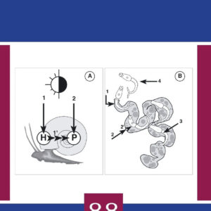 Advances in Parasitology (Volume 88)