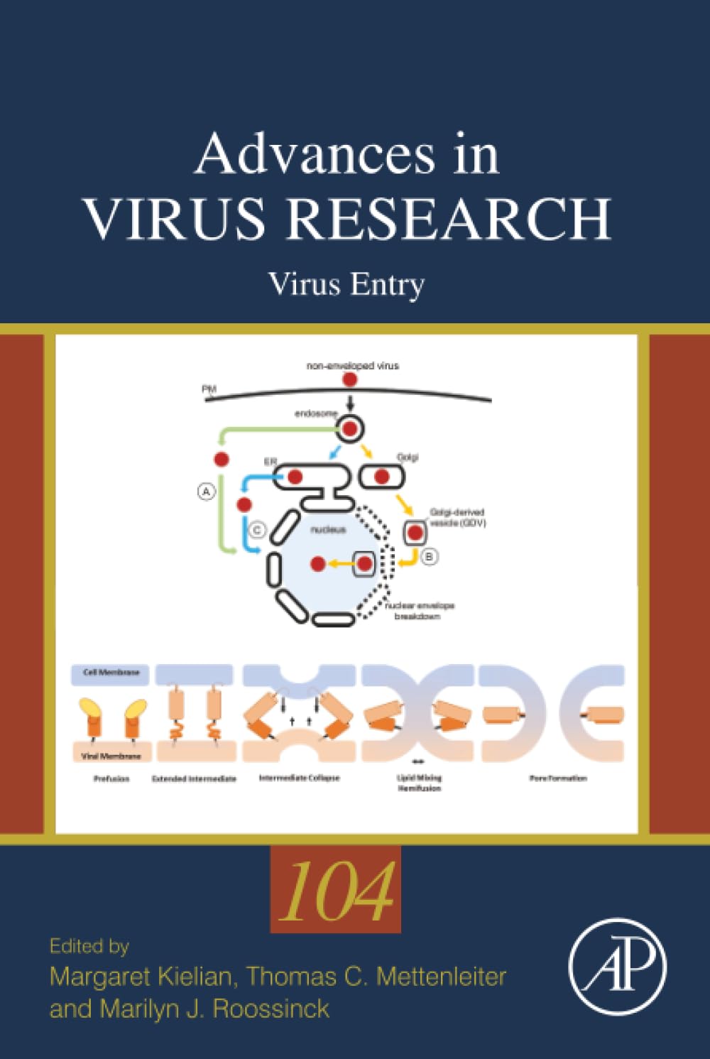 Virus Entry (Volume 104) (Advances in Virus Research