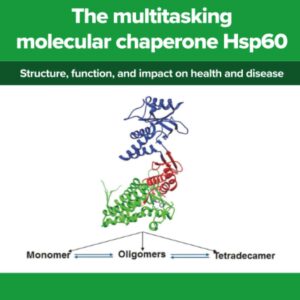 The multitasking molecular chaperone Hsp60: Structure