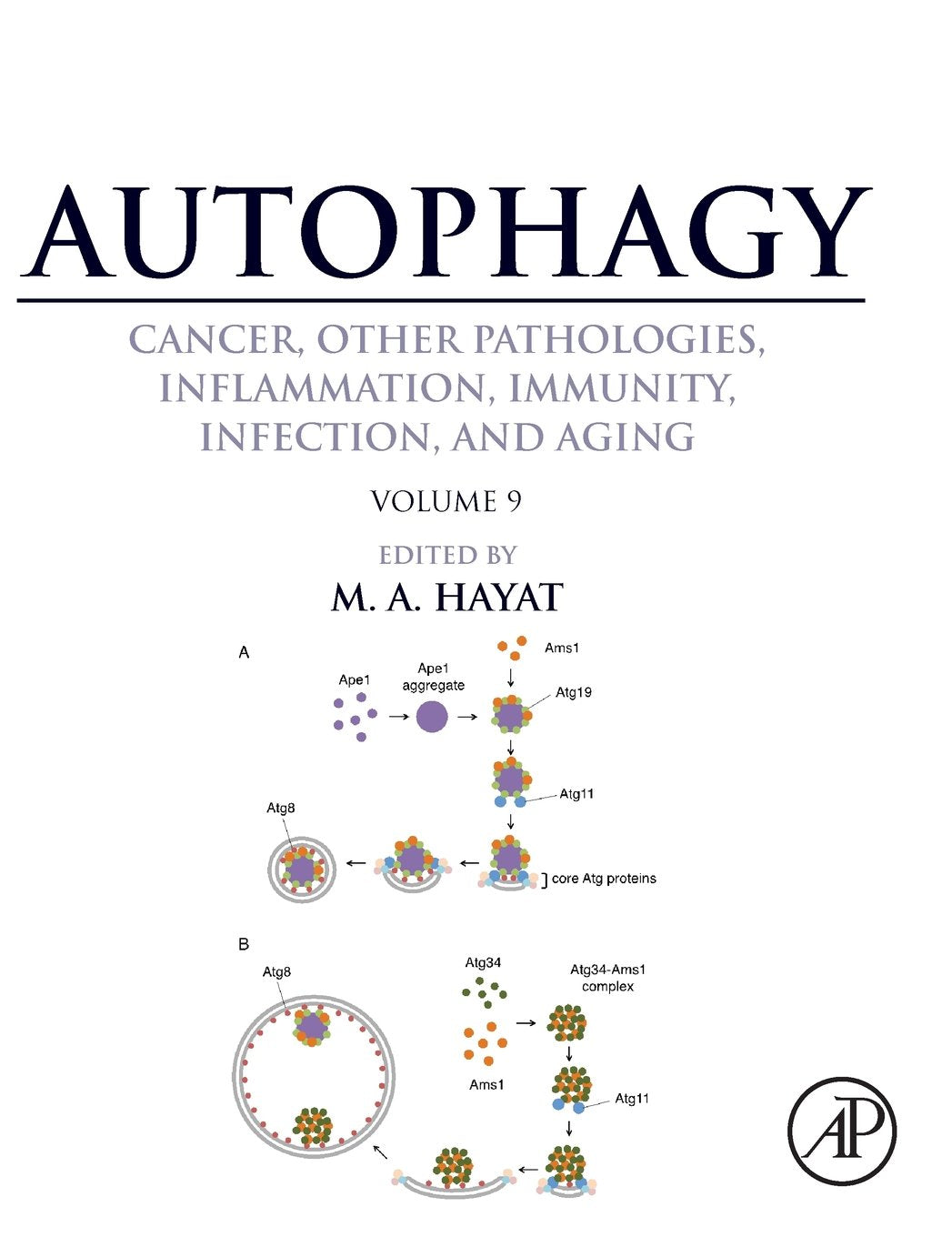 Autophagy: Cancer