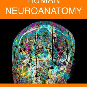 Human Neuroanatomy