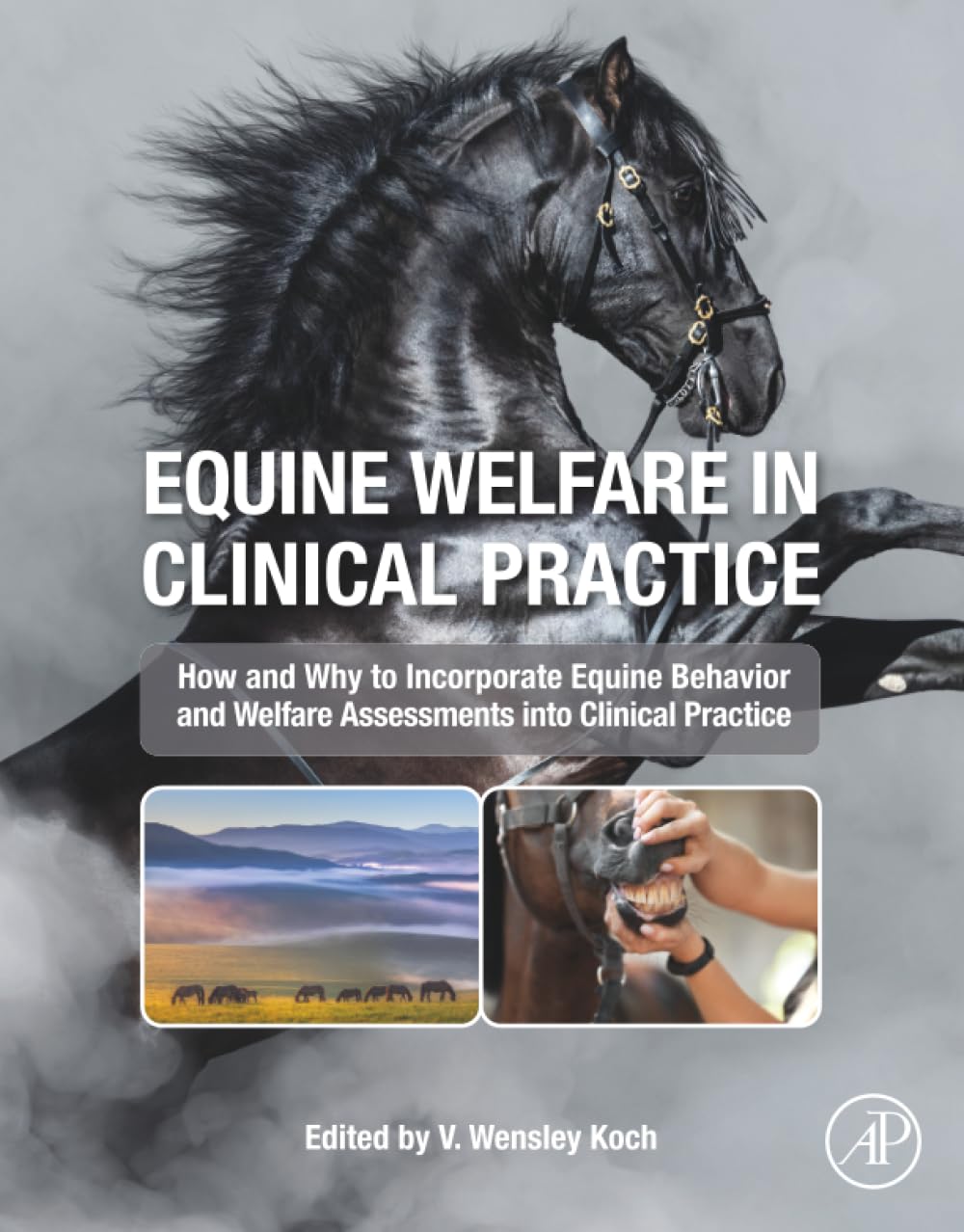 Equine Welfare in Clinical Practice