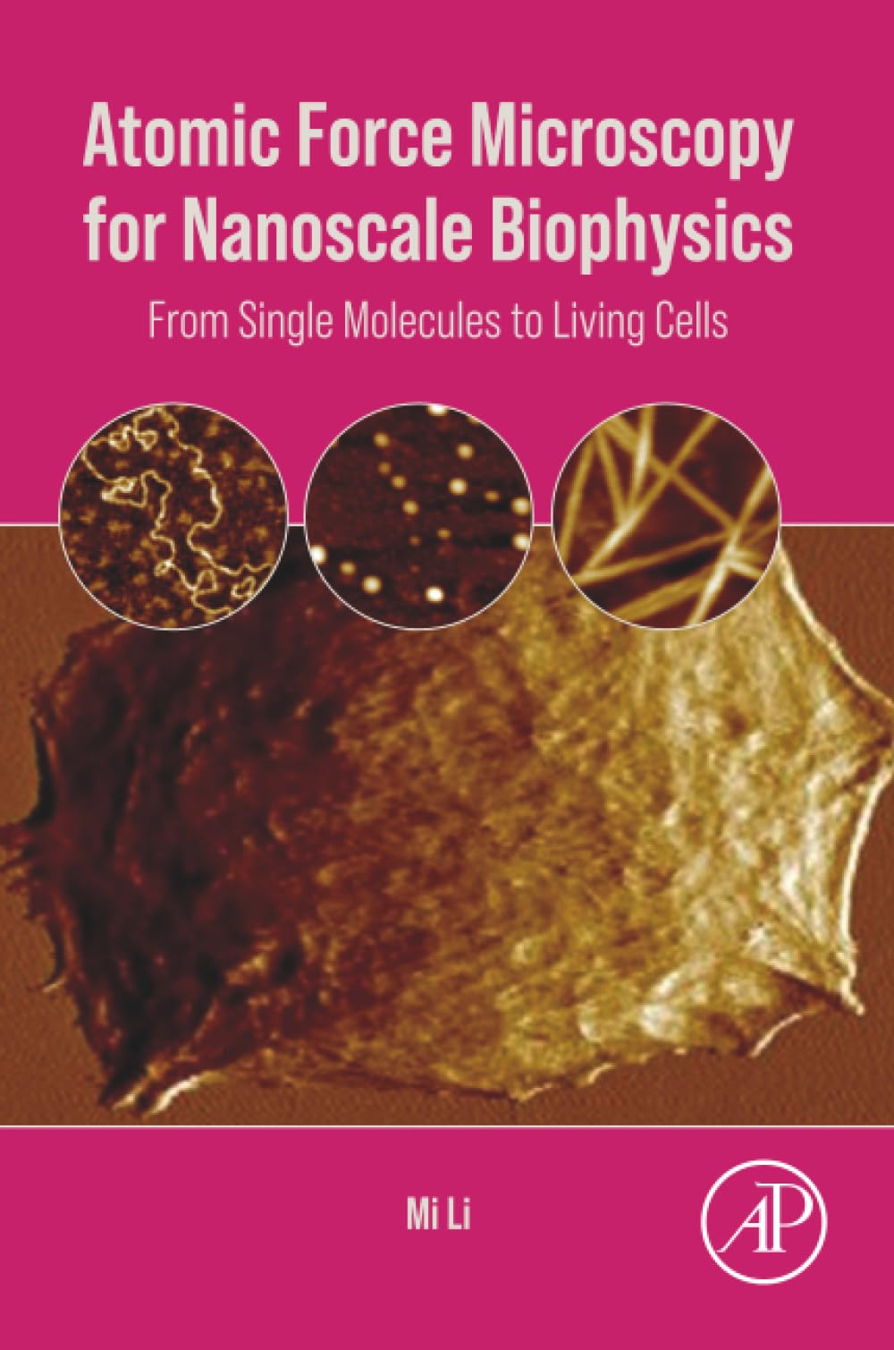 Atomic Force Microscopy for Nanoscale Biophysics: From Single Molecules to Living Cells