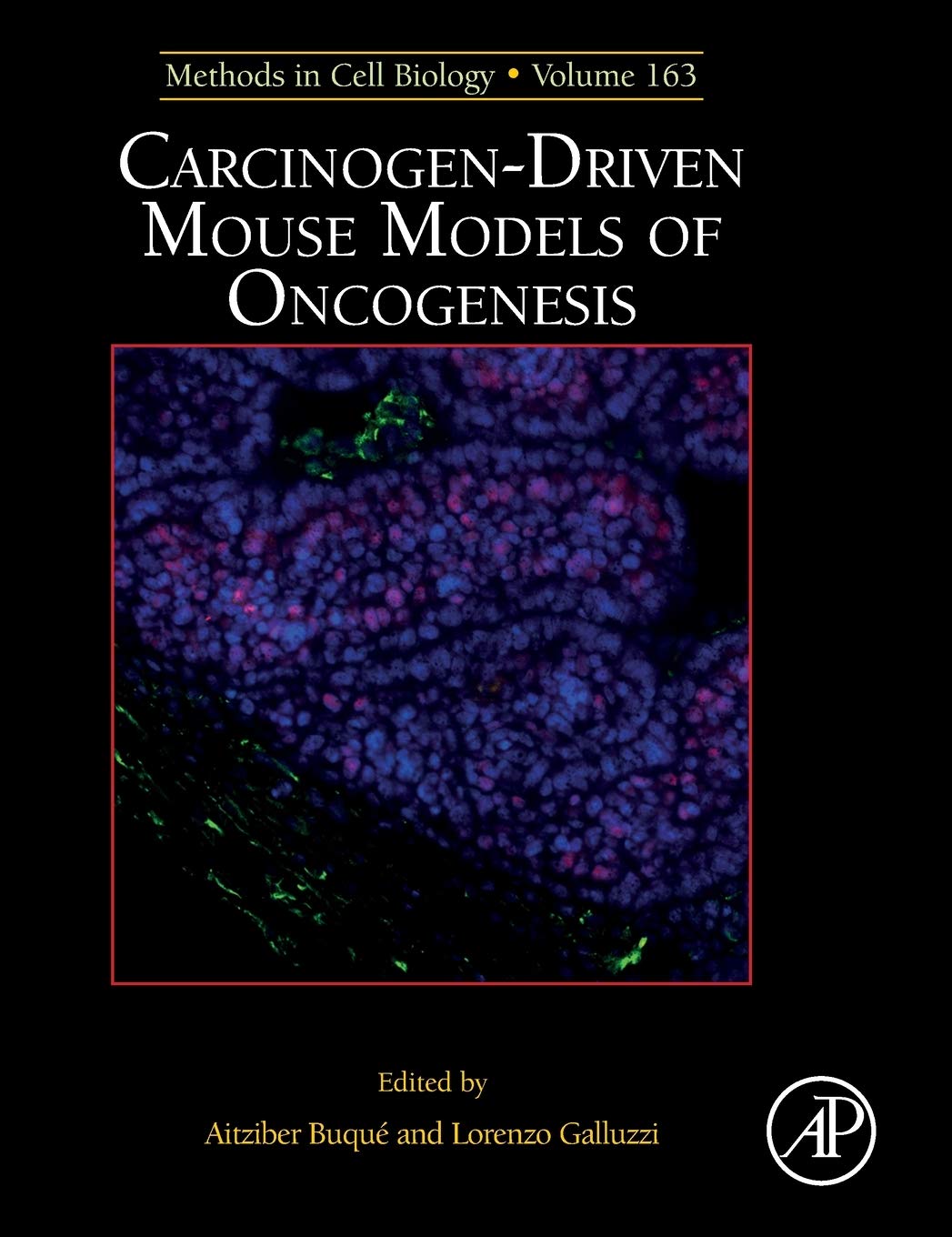 Carcinogen-Driven Mouse Models of Oncogenesis (Volume 163) (Methods in Cell Biology