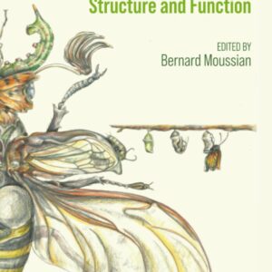Insect Anatomy: Structure and Function