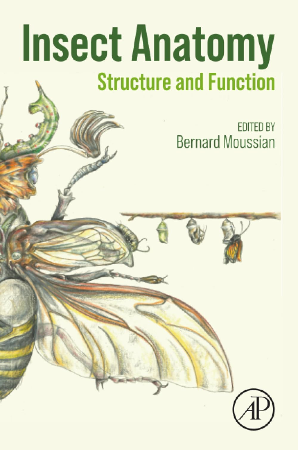 Insect Anatomy: Structure and Function