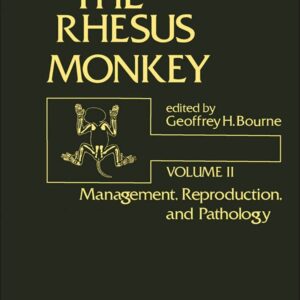 The Rhesus monkey