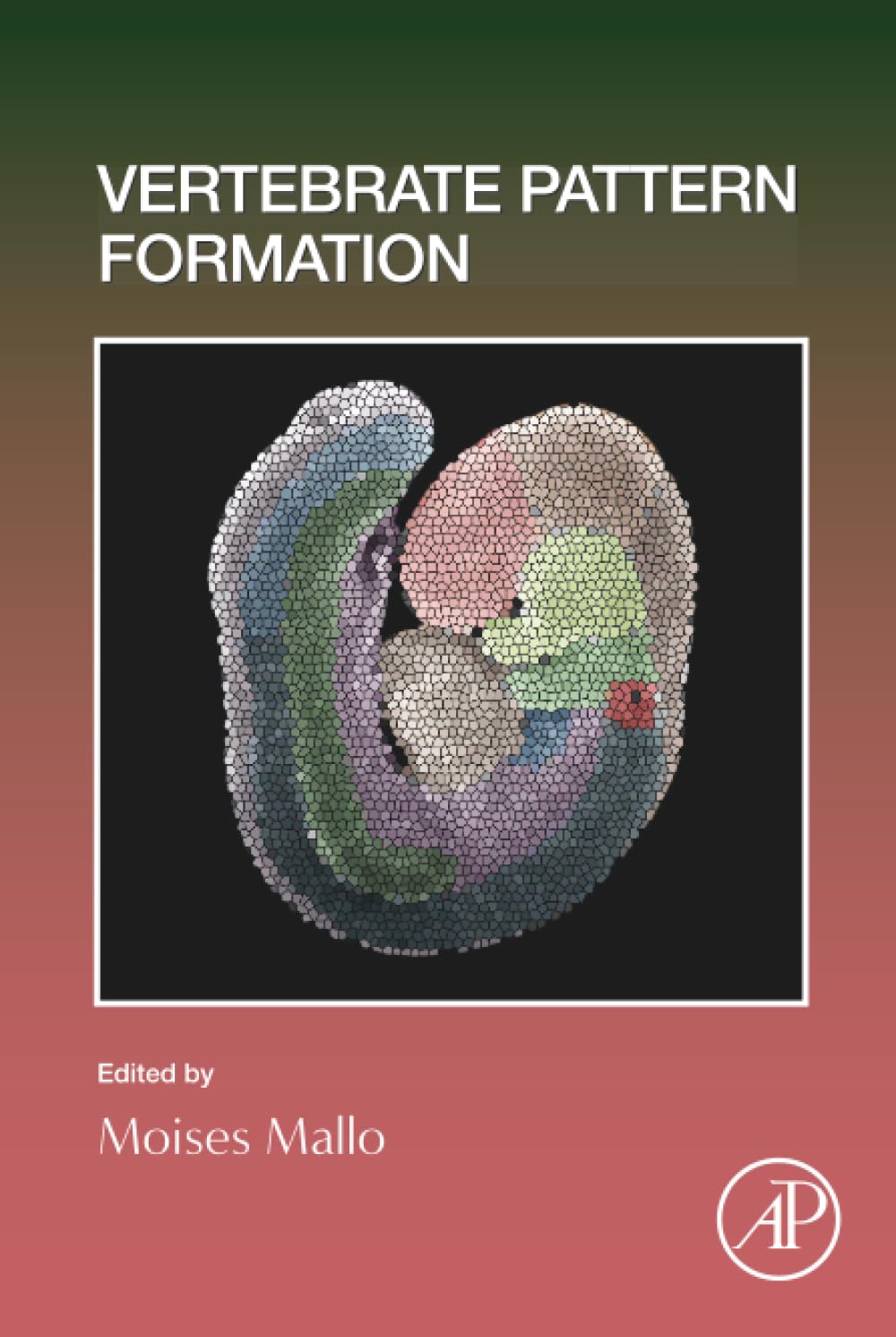 Vertebrate Pattern Formation (Volume 159) (Current Topics in Developmental Biology