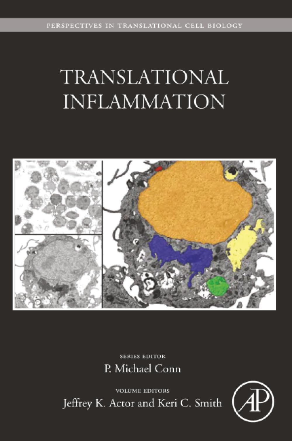 Translational Inflammation (Volume 4) (Perspectives in Translational Cell Biology