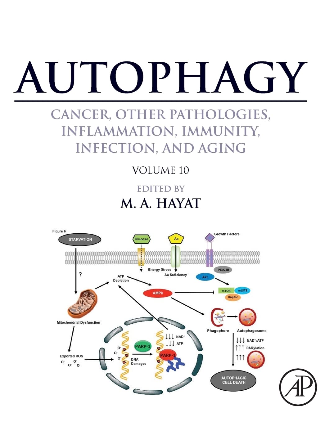 Autophagy: Cancer