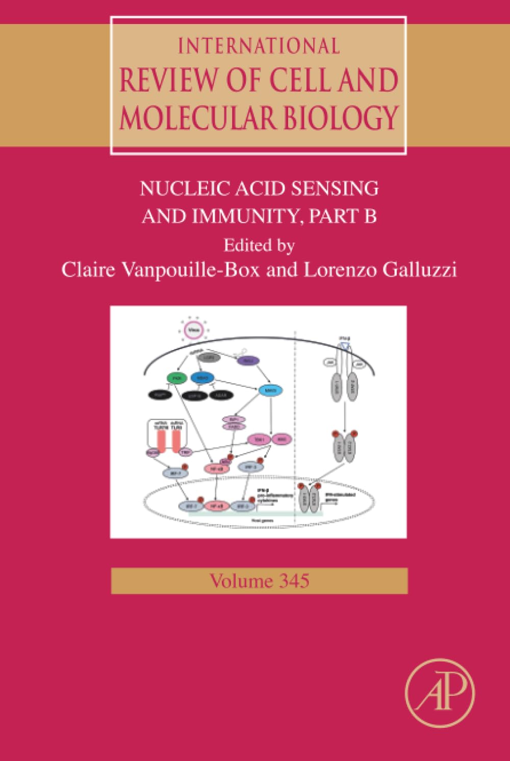 Nucleic Acid Sensing and Immunity - PART B (Volume 345) (International Review of Cell and Molecular Biology