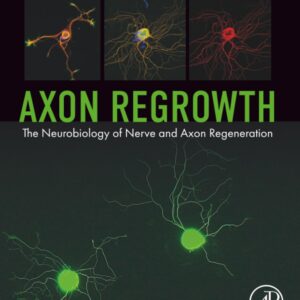 Axon Regrowth: The Neurobiology of Nerve and Axon Regeneration