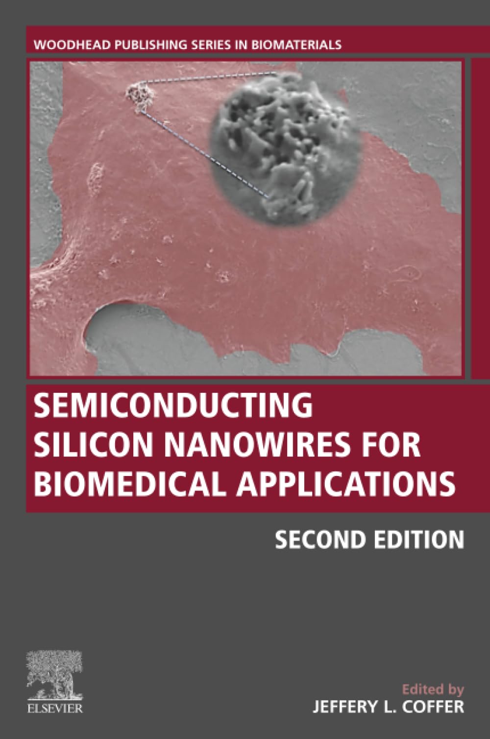 Semiconducting Silicon Nanowires for Biomedical Applications (Woodhead Publishing Series in Biomaterials)