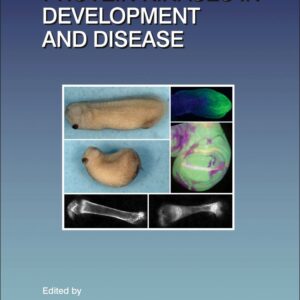 Protein Kinases in Development and Disease (Volume 123) (Current Topics in Developmental Biology