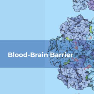 Blood-Brain Barrier (Volume 126) (Vitamins and Hormones