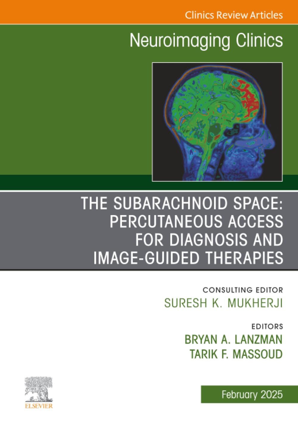The Subarachnoid Space: Percutaneous Access for Diagnosis and Image-Guided therapies