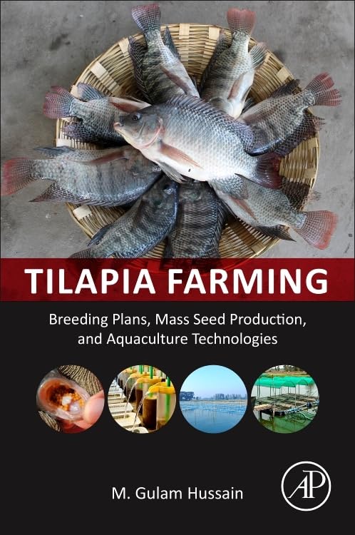 Tilapia Farming: Breeding Plans