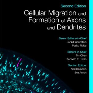 Cellular Migration and Formation of Axons and Dendrites: Comprehensive Developmental Neuroscience