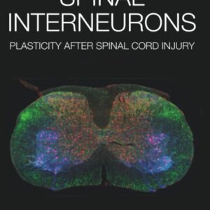 Spinal Interneurons: Plasticity after Spinal Cord Injury