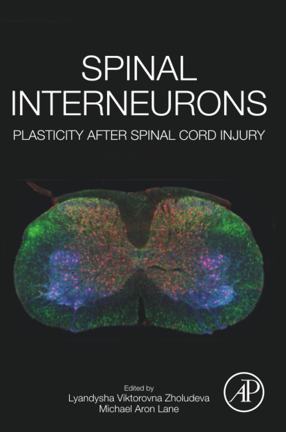 Spinal Interneurons: Plasticity after Spinal Cord Injury
