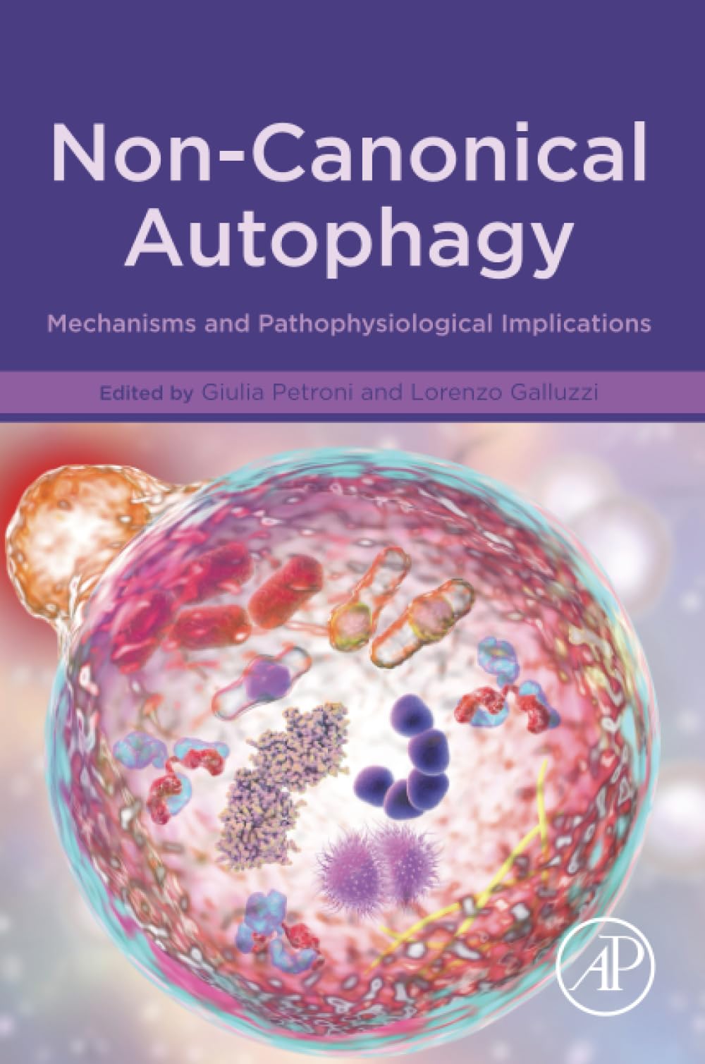 Non-Canonical Autophagy: Mechanisms and Pathophysiological Implications