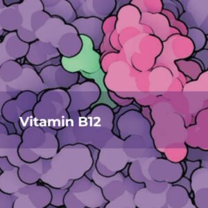 Vitamin B12 (Volume 119) (Vitamins and Hormones