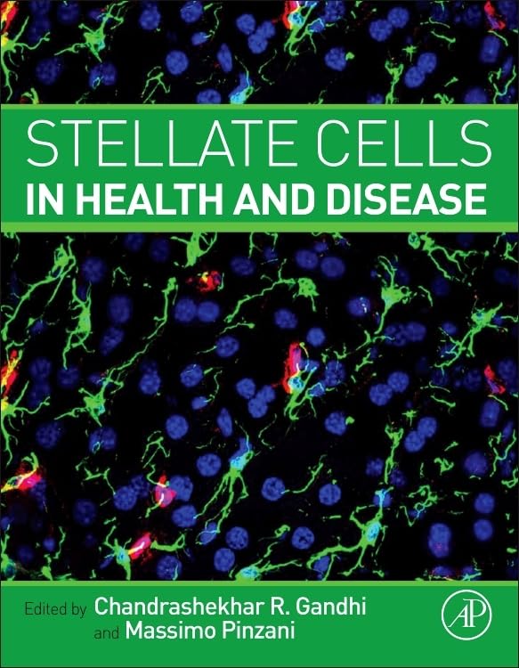 Stellate Cells in Health and Disease