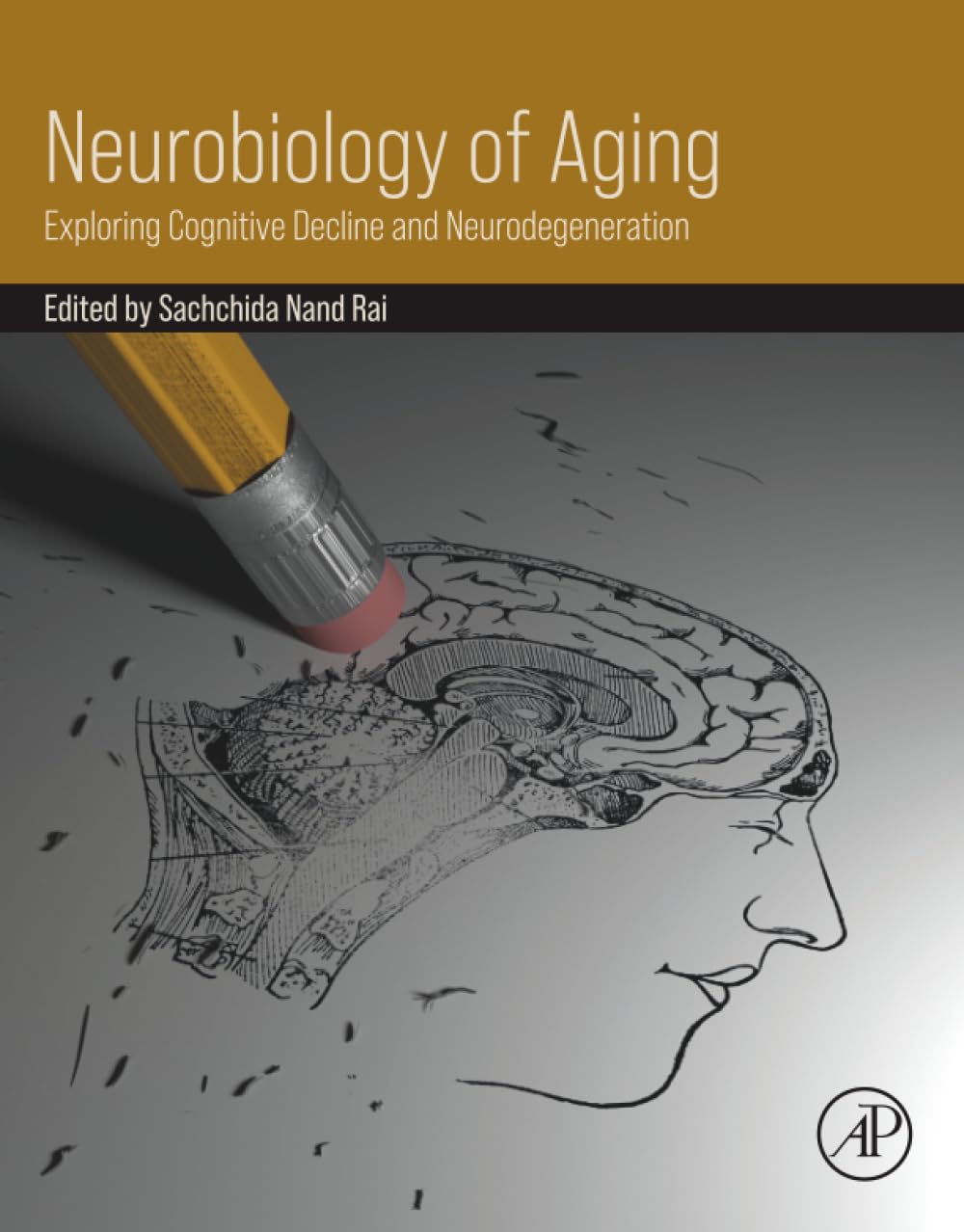 Neurobiology of Aging: Exploring Cognitive Decline and Neurodegeneration