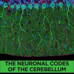 The Neuronal Codes of the Cerebellum