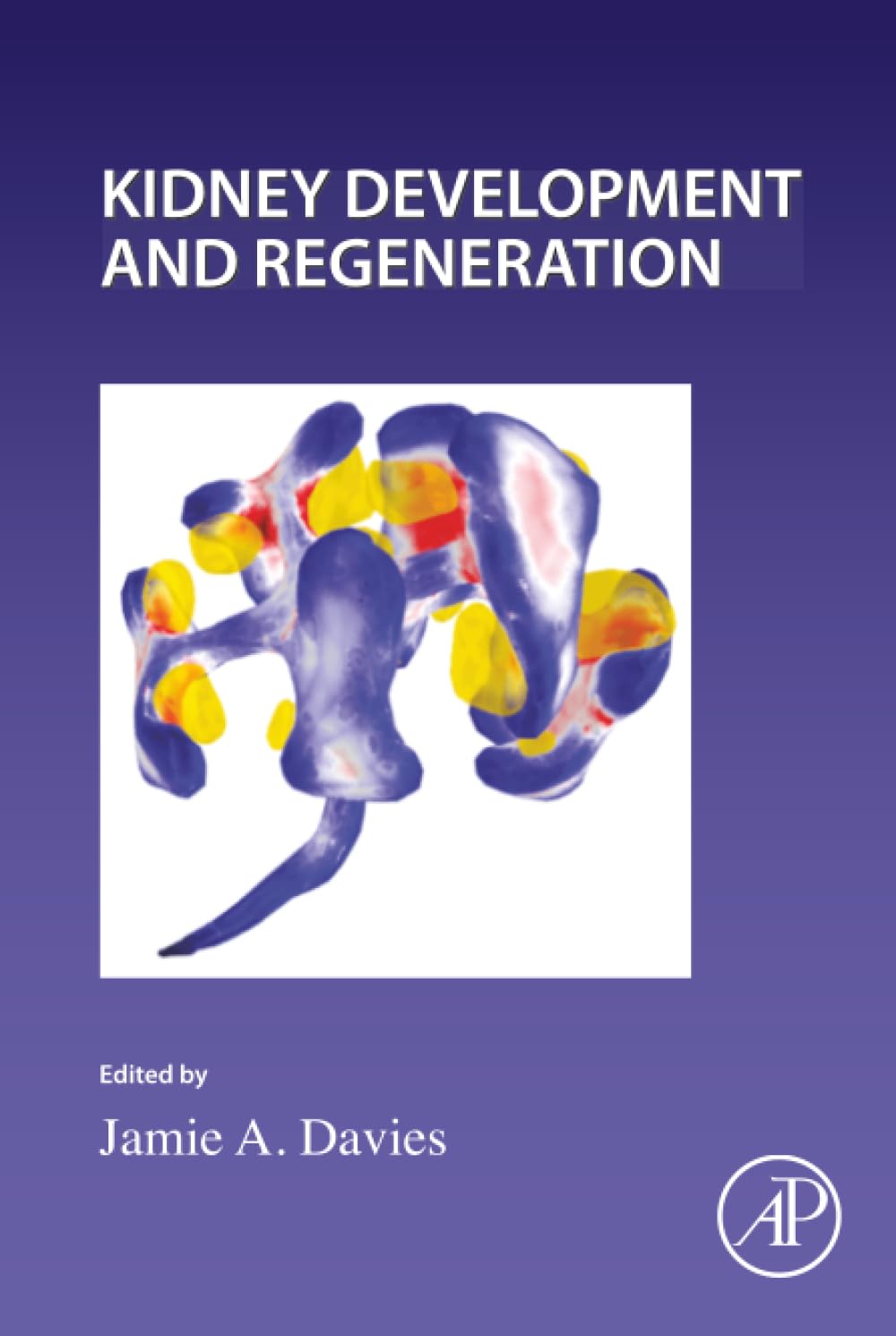 Kidney Development and Regeneration (Volume 163) (Current Topics in Developmental Biology