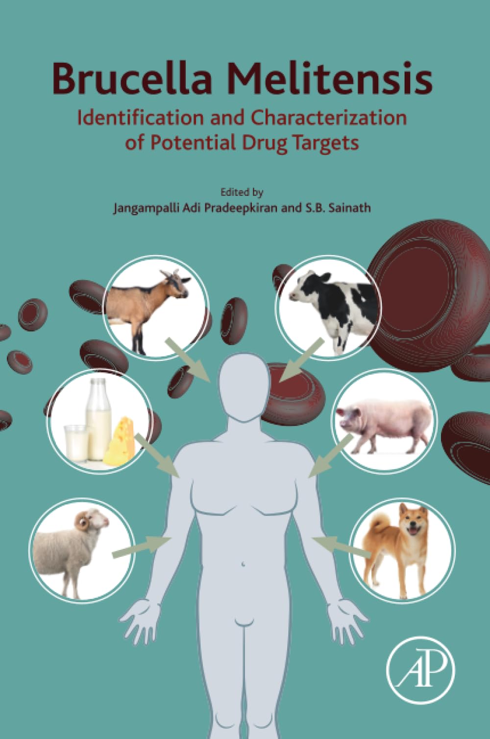 Brucella Melitensis: Identification and Characterization of Potential Drug Targets