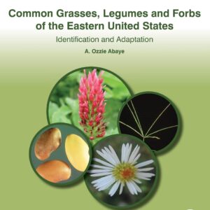 Common Grasses