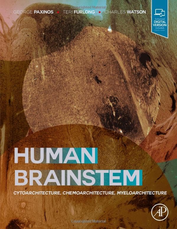 Human Brainstem: Cytoarchitecture