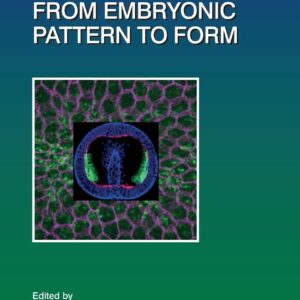 Gastrulation: From Embryonic Pattern to Form (Volume 136) (Current Topics in Developmental Biology