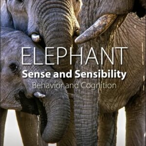 Elephant Sense and Sensibility