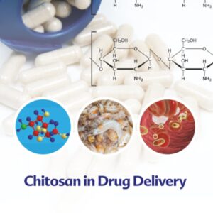 Chitosan in Drug Delivery